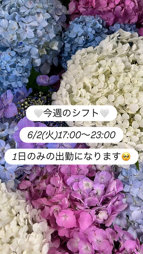 今週も1日のみですがよろしくお願いします🥳💓