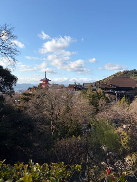 出張ついでに京都に寄ってきました🥺✨