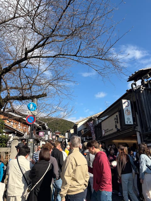出張ついでに京都に寄ってきました🥺✨