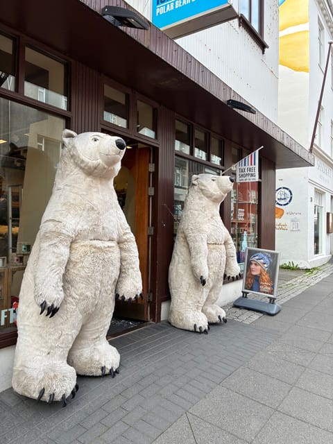 🇮🇸レイキャビク