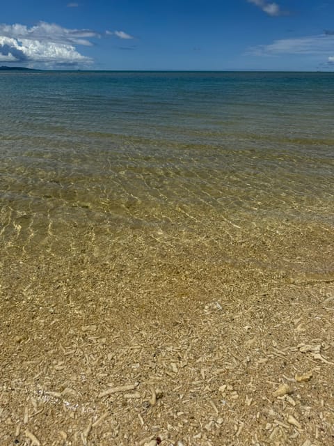 沖縄の海綺麗すぎ🪼🩵