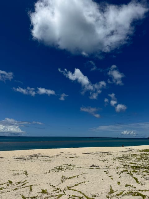 沖縄の海綺麗すぎ🪼🩵