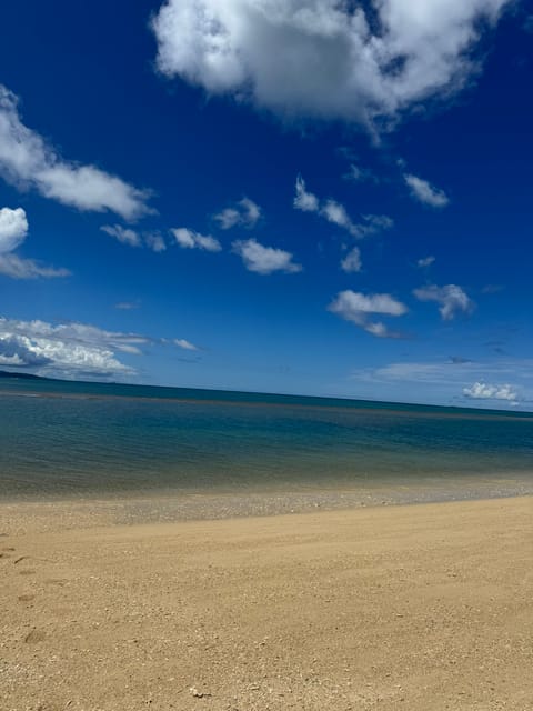 沖縄の海綺麗すぎ🪼🩵