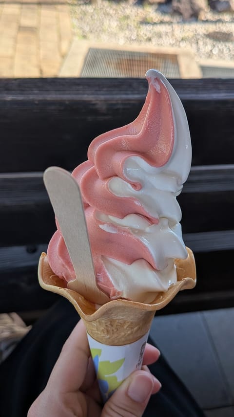 水車大きかったなぁ😳
そしてイチゴバニラの
ソフトクリームが美味しすぎた🤤🍓🍦

最近はOFFの日がなくて
ずーっと走り