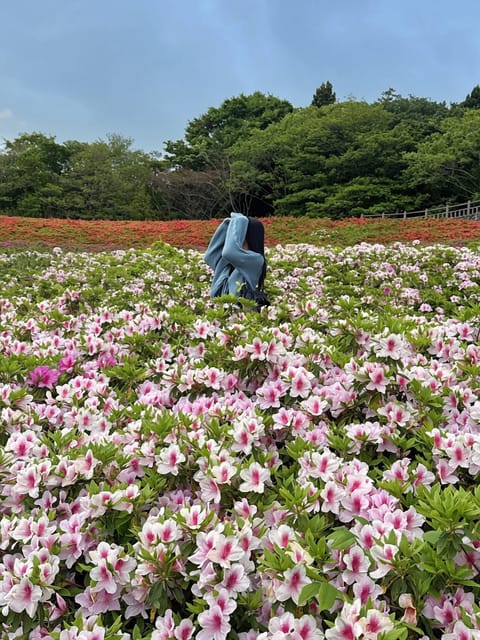 先週も満枠ありがとうございました🥰

本日21:00~24:00出勤ですっ🕯️💭
ご予約お待ちしております~૮ ◞ ⸝⸝