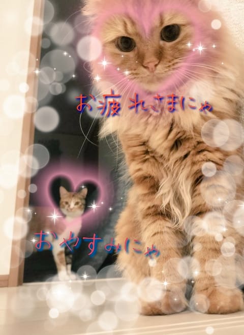 ・_・。)ノ　ﾁﾗﾘ❣️

忙しいけど元気にしてます❣️

出勤したいけど、なかなかタイミングが合わないよぉー😖💧💨