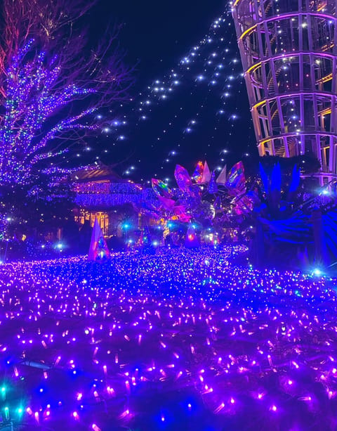 こんにちは！！

ここ数日の間に江ノ島のイルミネーションを見てきました✨✨

本日21時〜出勤になりましたのでお待ちして