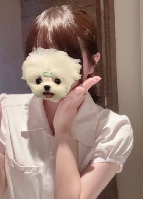 こんばんは🐇⸒⸒はやてです♡♡
⋆┈┈┈┈┈┈┈┈┈┈┈┈┈┈┈⋆
もう秋も近い気がしてきた～と思ったら
お外も涼しく感
