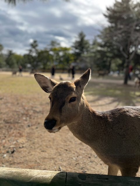 本日もありがとうございました。

はじめましての高嶺の花リピーター様

かなり気に入っていただけたご様子

帰り際の
「