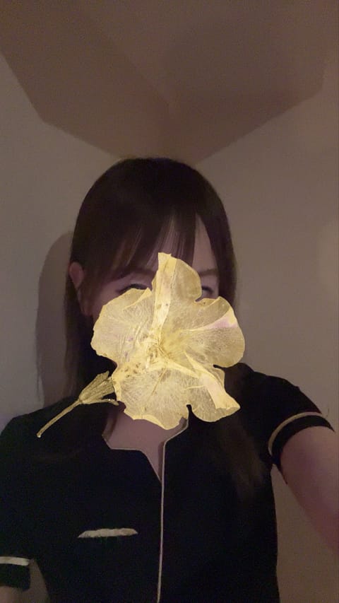 今日お休みします