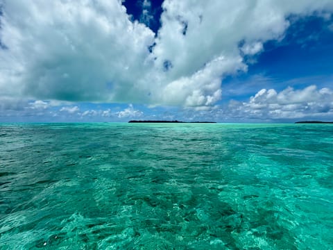 ダイビングもっと極めてお魚になりたい🤿

もうすぐ帰るよっ。
4/20(日)11時〜18時
事前ご予約ありがとうございま