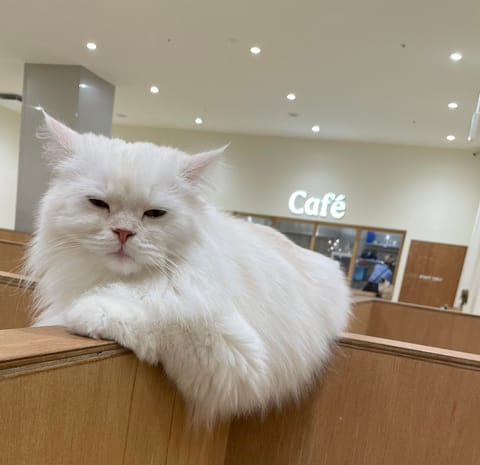 GW入りましたね❣️いかがお過ごしですか？🤗ゆっくり出来てるかなぁ🥰

明日27日(日)一宮ルームに出勤します🙋‍♀️
