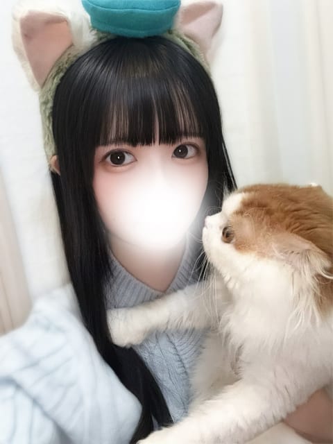 にゃんにゃんにゃんの日🐈