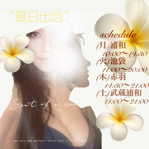 🩵schedule🌻