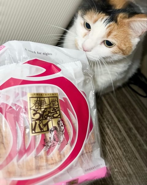 仲良しさまたちからいただいたおみやげたち🎁💕

遠く離れてる時間にもあたしのことを思い出してくれてることが、なにより嬉し