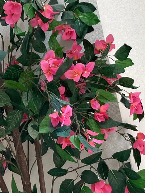 おはようございます😊ふみです🫶

本日11時30分〜16時出勤です(^^)

今日は風邪も強いし、一段と寒いですね😢

