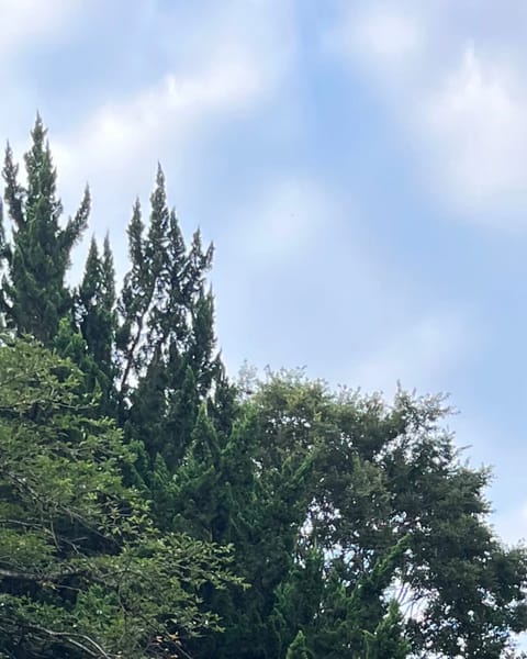おはよー☀️

今日は2日前より少し長く公園で走ってきた🤍3時間睡眠だったけど、目覚ましで起きたときに寝たいより走りたい