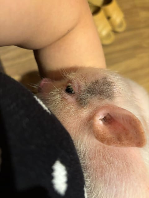明日は何してる？💭