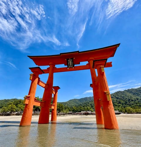 今週、広島に日帰り旅行へ
行ってきました😊✨
旅行🚅行くといつも…
船に乗ったり🚢水族館🐟に行って
いつも子供みたいに

