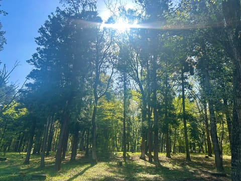 朝からお散歩🐾してきてリフレッシュ🌸