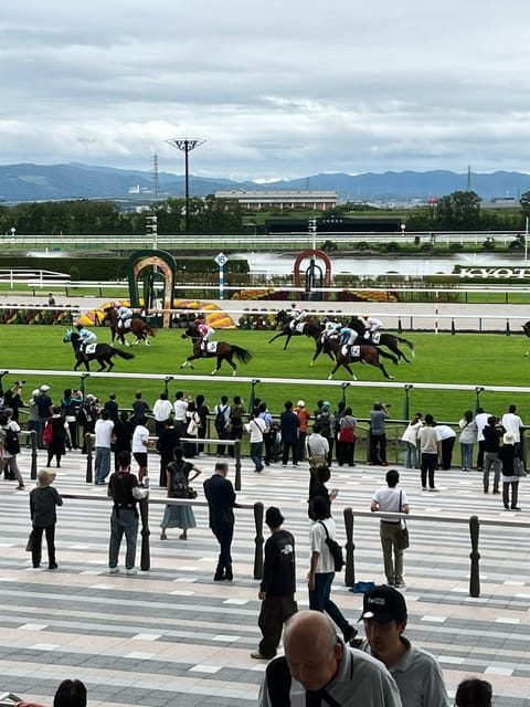 お休み2日間淀競馬場に行きました
頑張ってキャンセル待ちの指定席取った
別口の友達と行ったから😊
ハードスケジュールやっ