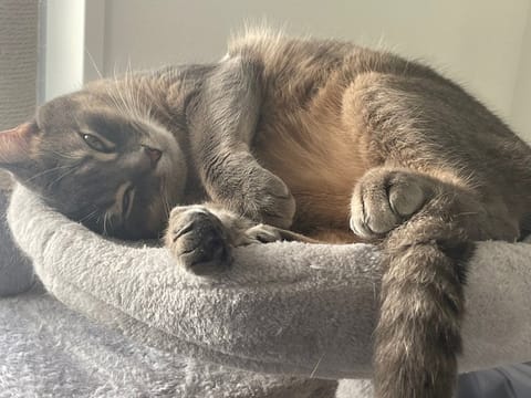 21日(金)、
今日もお休みです

見て下さった方
ありがとうございます🐱

あやの❤