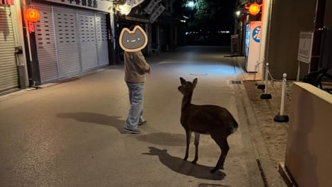 こんばんは！
更新が遅くなってしまいました💦
今日はかなり暖かくてもう春ですね〜🌸🌷🐝

本日18時〜
お待ちしておりま