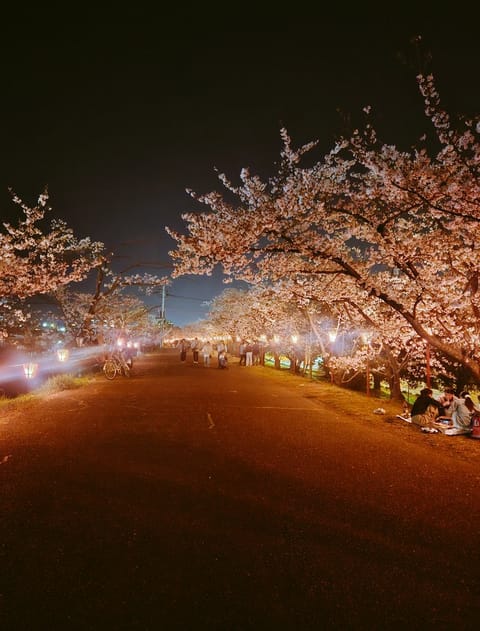 散る前に見れました🌸
毎年一緒だけどやっぱり桜はきれいですね✨
桜と言ったら私はさくら(独唱)です🎵
みなさんの桜ソング