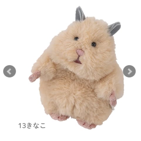 おもちときなこが欲しい！！あいもむぎゅむぎゅしたいの〜😖❤︎どこかに売ってたら教えて下さい😖🌷