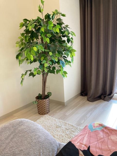 おはようございます
ふみです♡

本日11時30分〜15時出勤です♪

13時30分からご予約ありがとうございます(^^