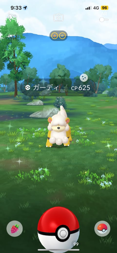 10日はありがとうございました‼️

最近のポケモンGOは色違いが
出やすくなって嬉しい🥹
また頑張っちゃおうかな😆

