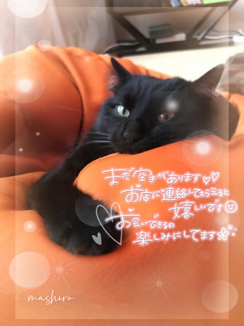更新されました⏰🗓️✨

11日（月）10:00〜21:00
12日（火）10:00〜21:00
13日（水）10:00