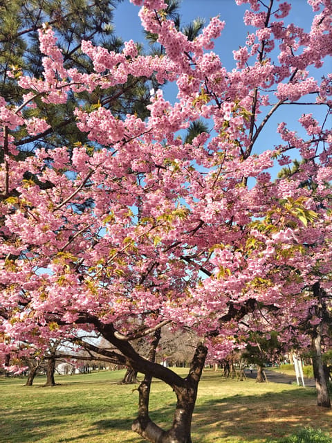 おはよう月曜日…🌷´-
ホット一息いれながら
ぼちぼち気合いいれてこ〜☕𓈒𓏸︎︎︎︎