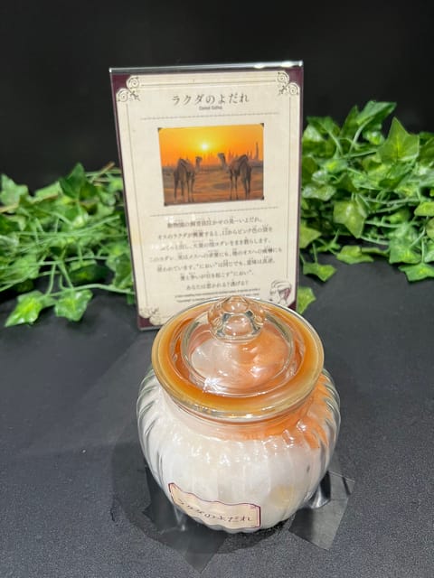こんにちは^_^

皆様バテてないか心配になっちゃう暑さです💦

先日匂い展に行ってから鼻がおかしくなってますが木曜日ま