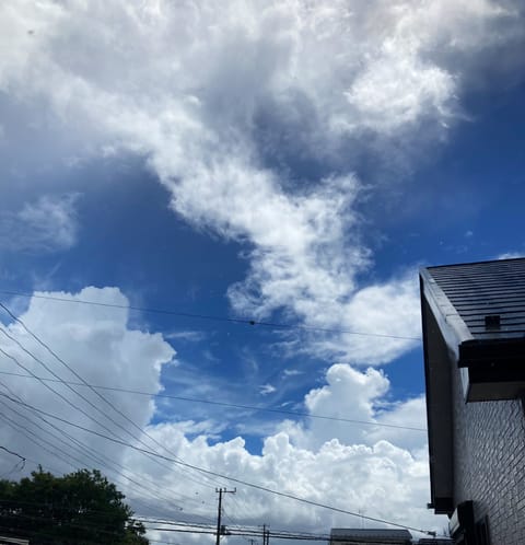 おはようございます、みかです🍑🍑

すごく不安定なお天気🤔台風のせいかな？🌀

本日は18:00〜5:00です！
初めて