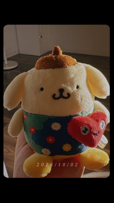 万博とか花博の話で盛り上がれる貴重なお客さんからトゥンクトゥンクプリンのぬい頂いた> <
お土産いつも美味し