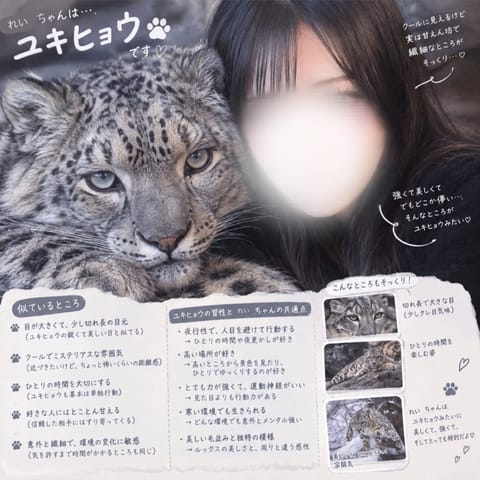 れいはユキヒョウらしい💭❄️⋆.˚