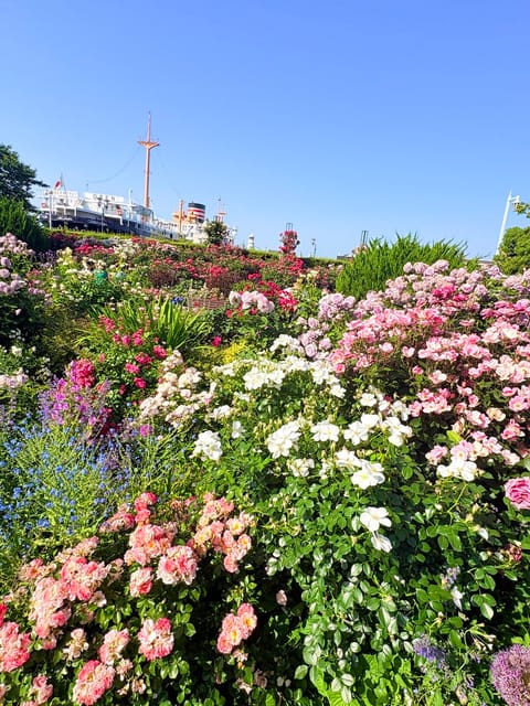 横浜のフラワーガーデン💐

見渡す限りお花いっぱいで幸せな気分でした✨