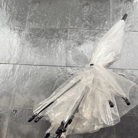 おはようございます🌧️🌪

風が強すぎてお家を出て早々に傘が壊れてしまいました…😨🌂
が、お部屋着くまでなんとか壊れた傘