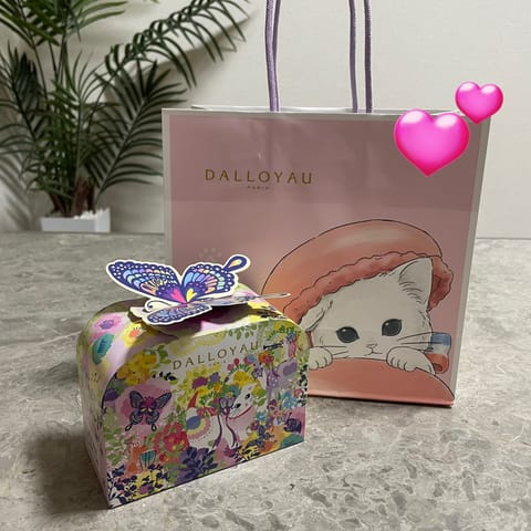 お兄さんから差し入れでいただきました😭🩷🩷マカロンだいすきだからとっっってもうれしい😭🩷🩷ありがとうございます😭🩷