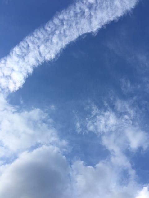 何十年ぶりかに、芝生にゴロリ。
秋の空。綺麗。
気持ちいい〜。