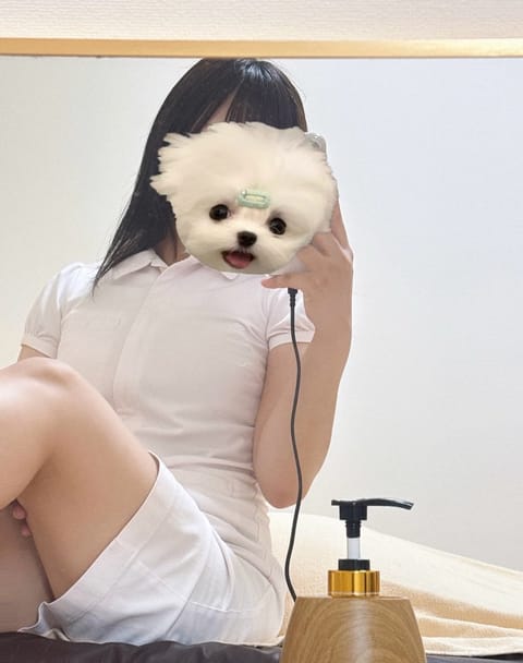 こんにちは🐱♡はやてです✉️
今日から3日間います～！

出勤しました～🫶🏻16:00~20:00です✨️

ブログも更
