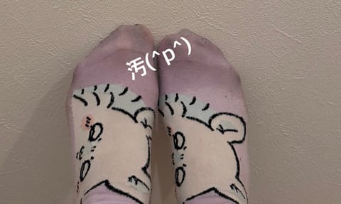 モモンガ先輩も雨でびしょ濡れ…
気をつけてお越しください☔️☔️☔️