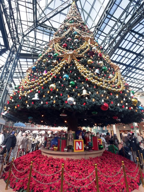 今年のディズニー納め♪

来週はもうクリスマスなんて１年あっという間すぎるね🥹
