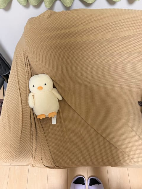 お久しぶりです♩
今日と明日21:00-3:00で出勤してます♡

かわいい服着てるから会いに来てね＞ᴗ＜