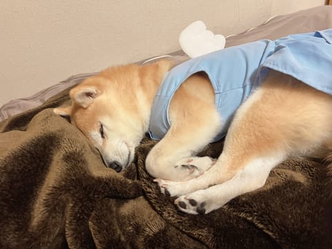 先週もリピ様、初めまして様ありがとう😊
より仲良くなれた気がする♫
☘️今週のシフト☘️
14(月)12:00~18:0