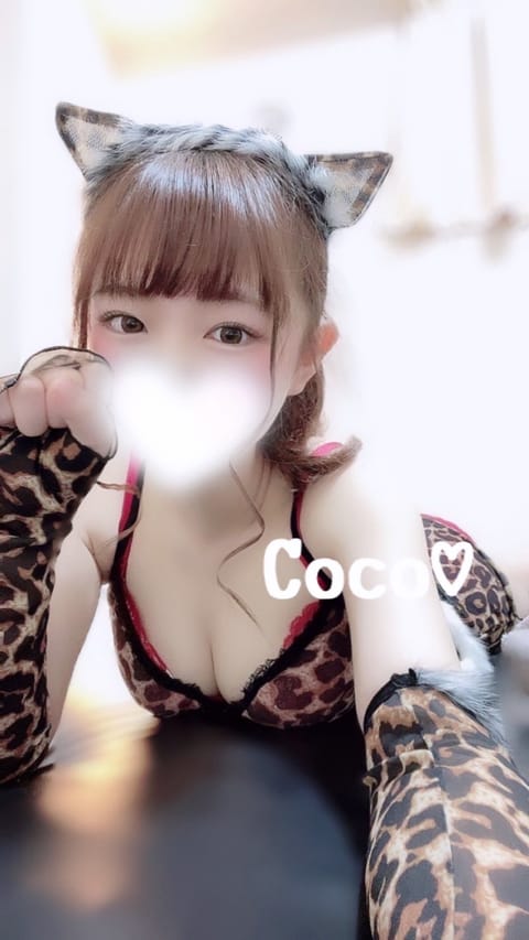 2月22日⋆˙⟡
にゃんにゃんにゃんの日🪄️

ここねこ🐈🤍