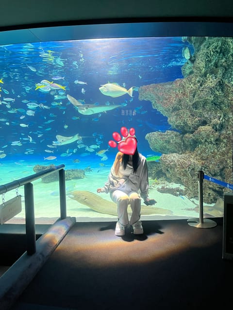 ウツボに座ってみました~🤭💕
最近、品川率高めです✨✨