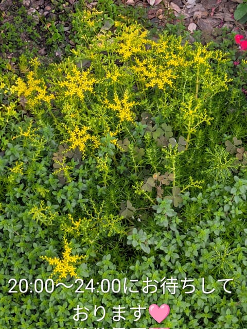 昨日はロングコースで差し入れもたくさんありがとうございました🙇‍♀✨

今日も気持ちの良いお天気ですね☀
ゴールデンウィ