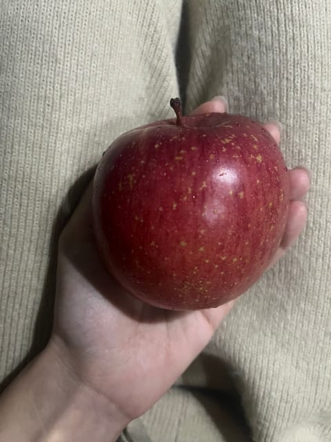 アイス食べたかったけど夜だからりんご丸ごと皮のまま🍎
永遠の眠りについたらすみません…🧙🍏